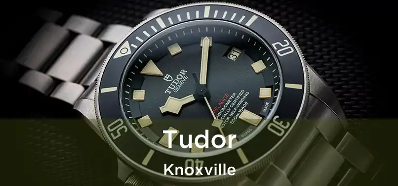 Tudor Knoxville