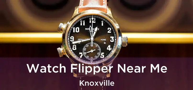 Watch Flipper Near Me Knoxville